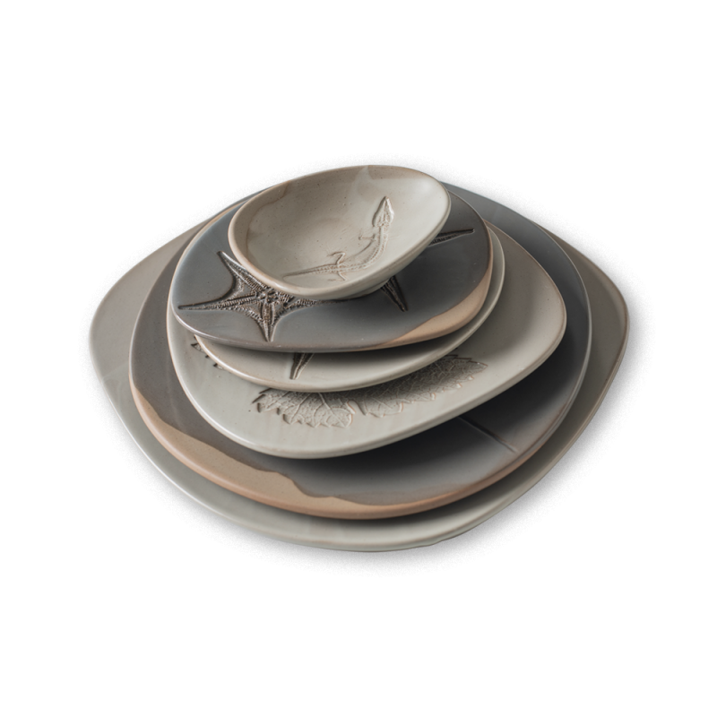 Fossil Shell Bowl 17cm... 2