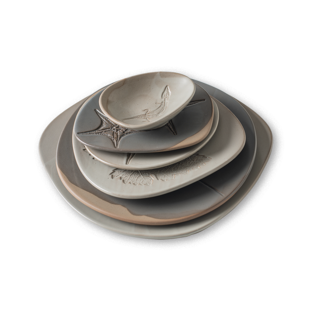 Fossil Bol Caracola 17cm Blanco |...