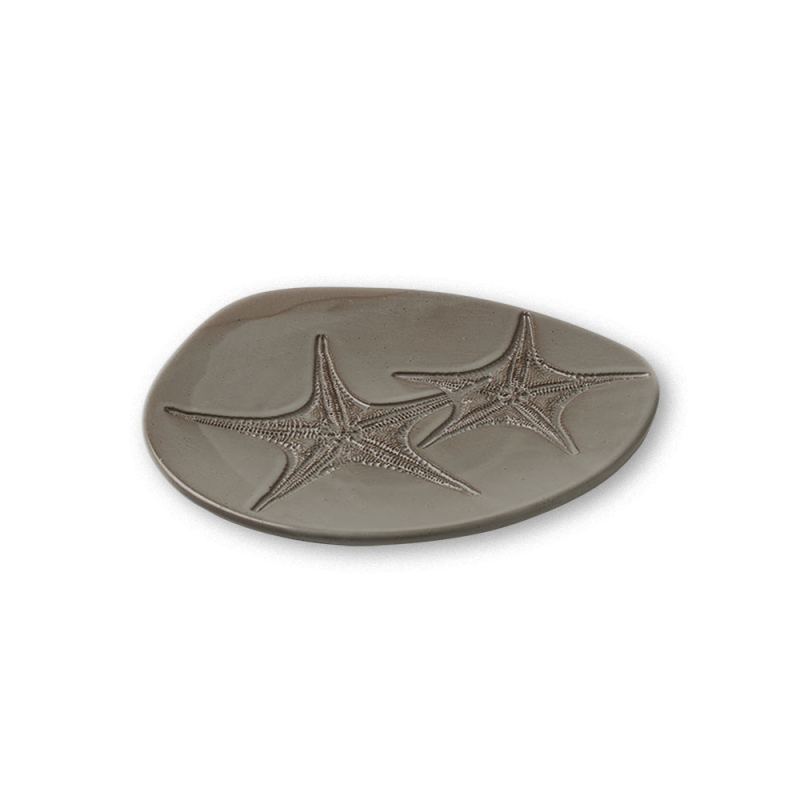 Fossil Plato Estrella de mar 17cm Piedra | Caja 6 Unidades