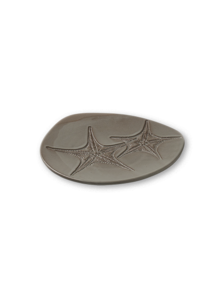 Fossil Plato Estrella de mar 17cm Piedra | Caja 6 Unidades