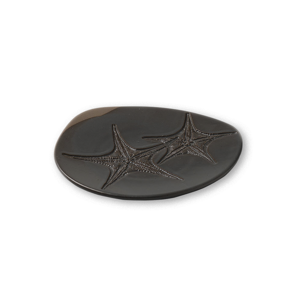 Fossil Plato Estrella de mar 17cm Piedra | Caja 6 Unidades