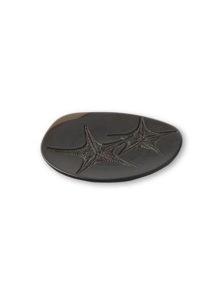 Fossil Plato Estrella de mar 17cm Piedra | Caja 6 Unidades